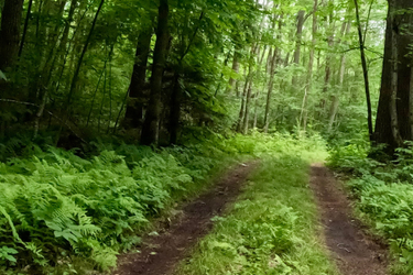 The event Irreverent Road Ride (IRR 14) is happening July 19, 2025