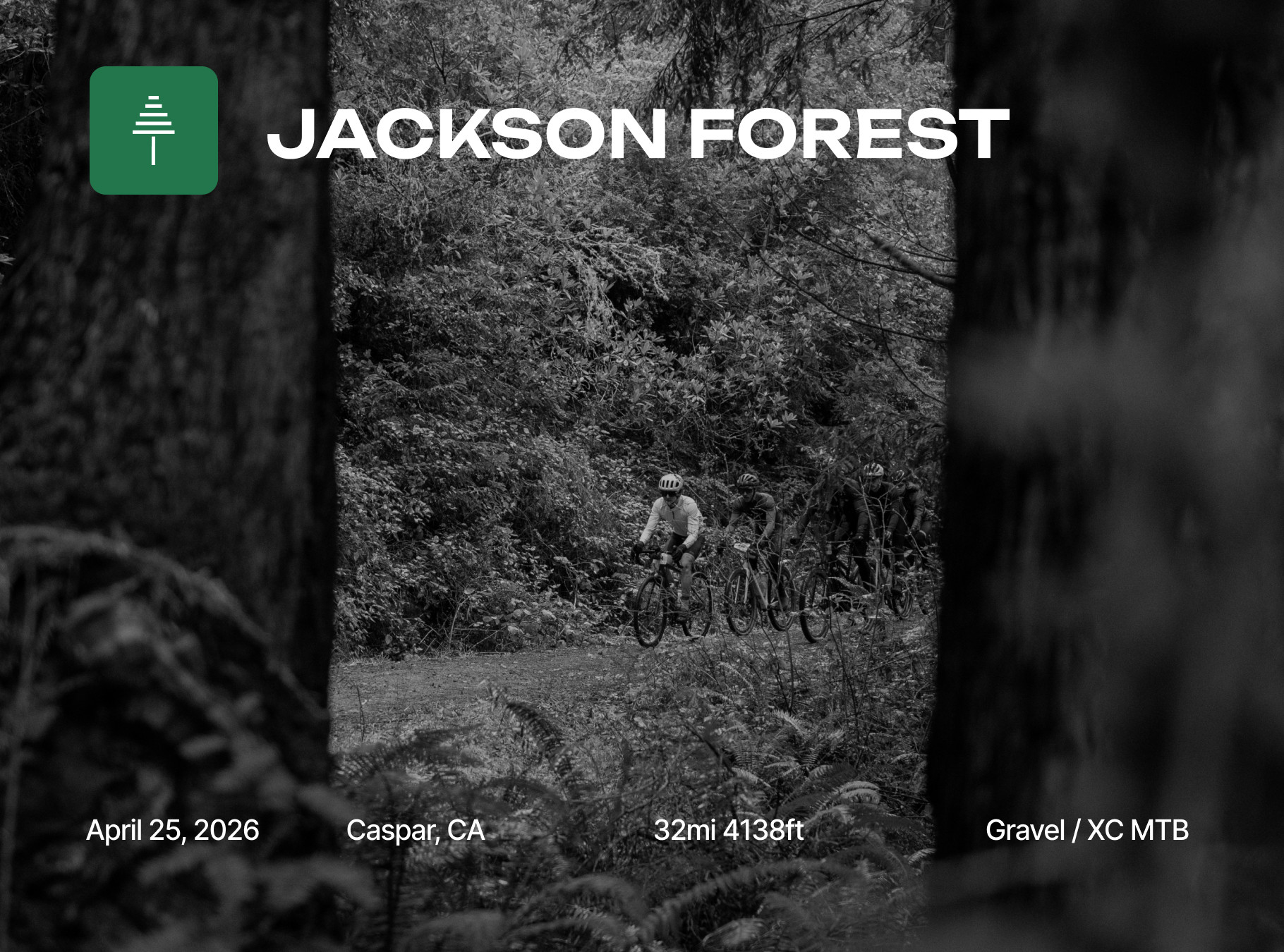 Jackson Forest: Grasshopper #4 2026 | Movemint